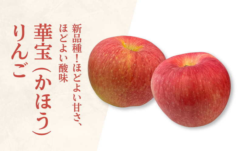 【JA相馬村】華宝 (かほう) りんご