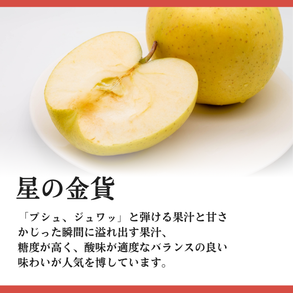 JA相馬村】星の金貨 りんご | 飛馬りんご・りんごジュースならJA相馬村
