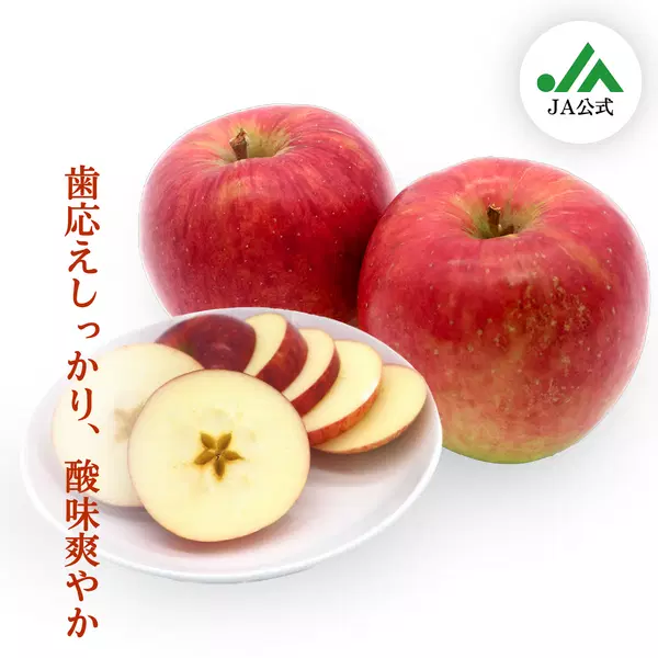 【JA相馬村】サンつがる りんご