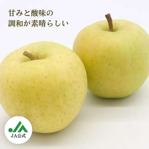 【JA相馬村】トキりんご