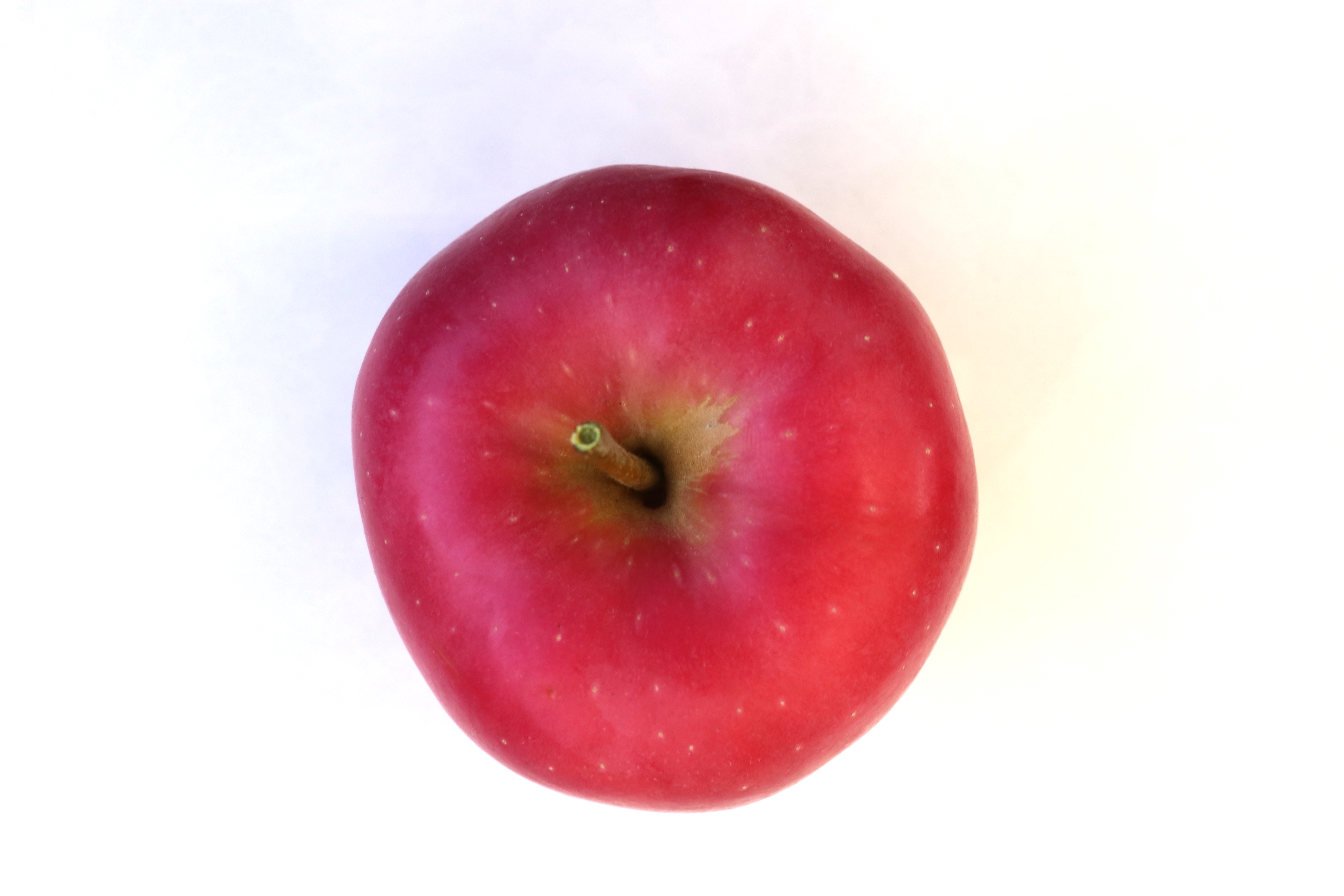 陸奥 りんごの商品画像 1
