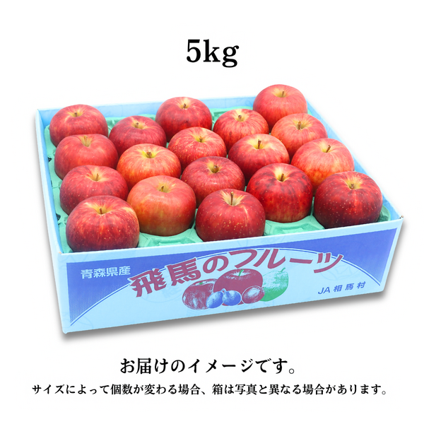 square_りんご_サンつがる_サン