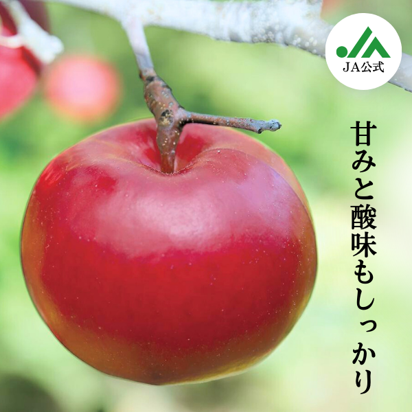 JA相馬村】紅の夢 りんご | 飛馬りんご・りんごジュースならJA相馬村