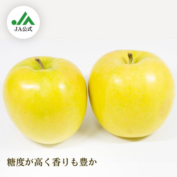 【JA相馬村】もりのかがやき りんごの商品画像 1