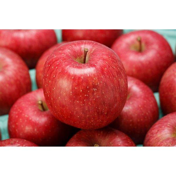 袋かけふじ（スマートフレッシュ処理商品） | 青森県弘前市の『飛馬