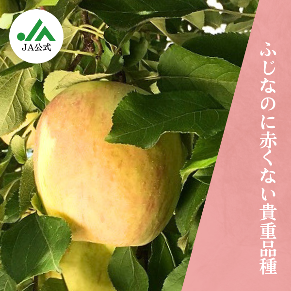 ひまりんごページ 飛馬ホワイト りんご | 青森県弘前市の『飛馬りんご』の産直通販