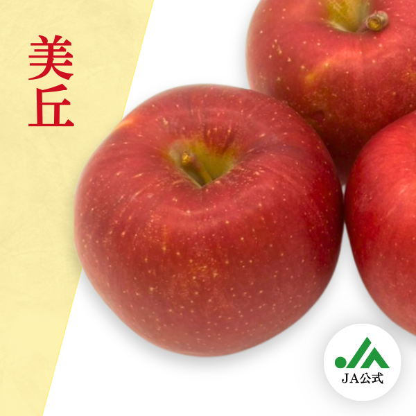 美丘10k 希少　じぃじの美味しい林檎 🍎美丘 とでもジューシーで甘味酸味ちょうどよい 大きめなりんごで希少